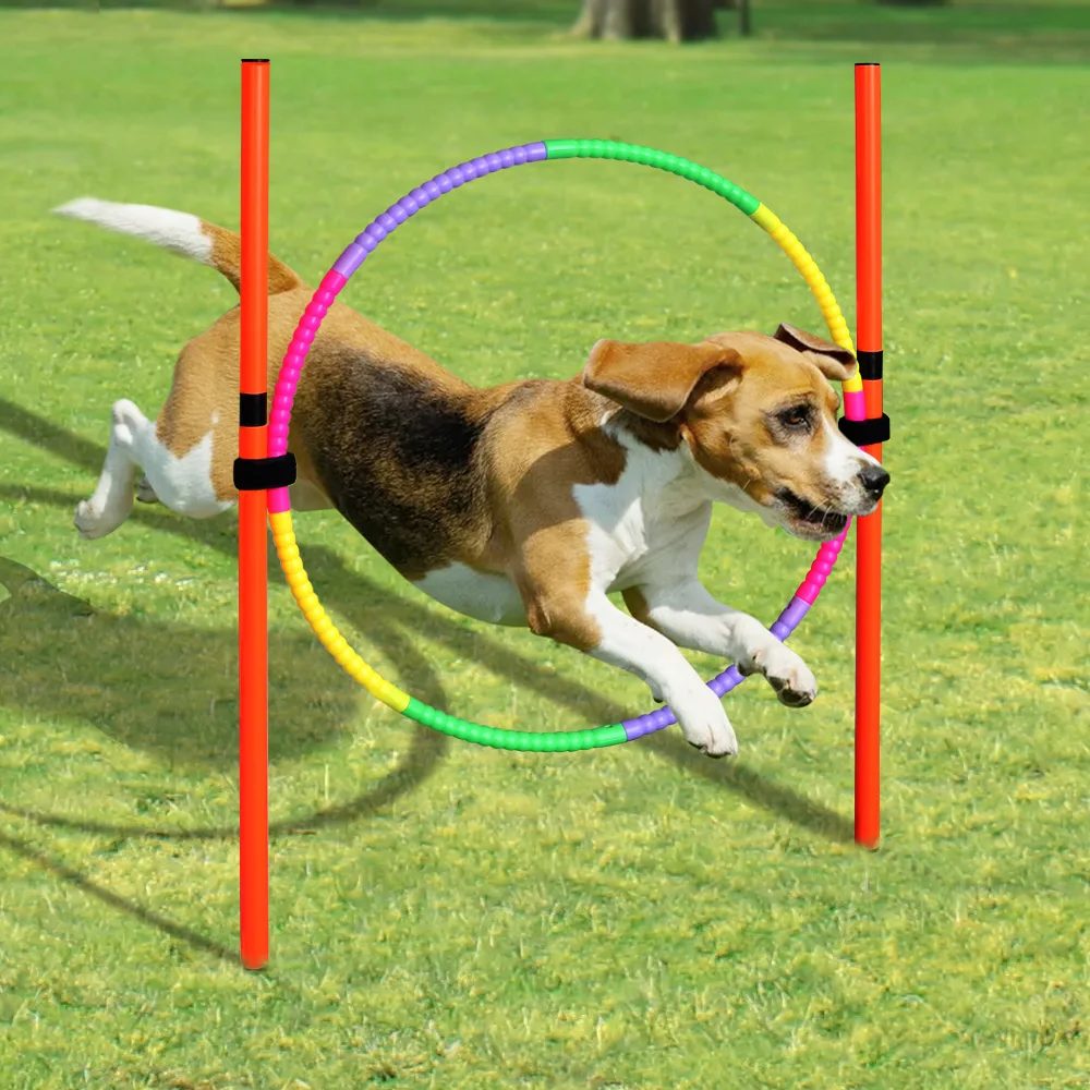 Outdoor Dog Obstacle Training Set Pet Agility Equipment Jumping Set Dog Training Accessories Dog Obstacle Course Pet Supplies