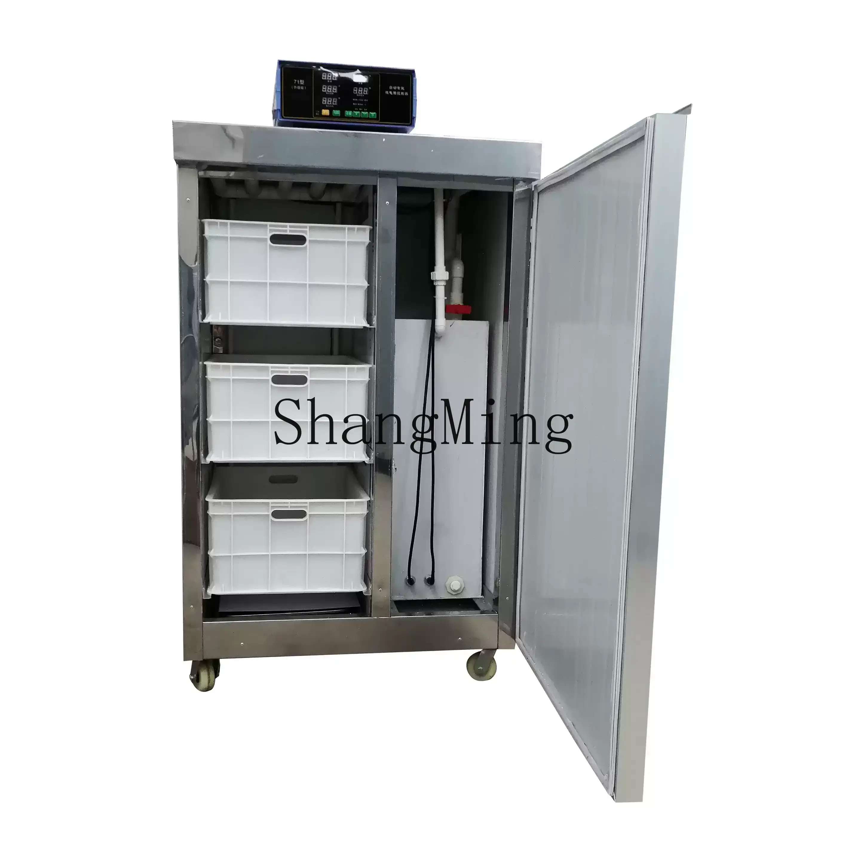 ZYY macchina automatica commerciale per germogli di soia, piccola macchina per germogli di soia