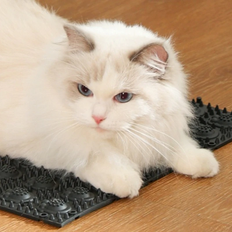 Thumbnail 2 - #67 Best Pet Combs & Brushes to Buy In 2026