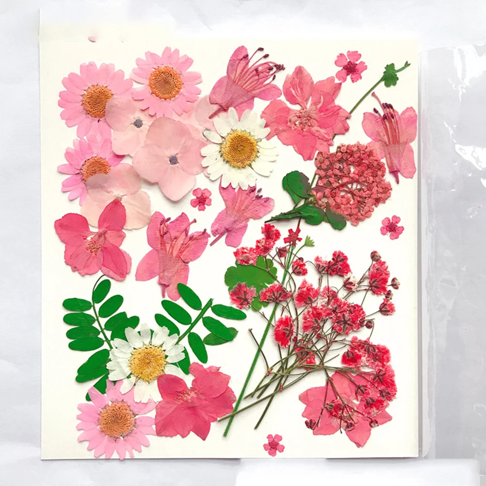 

30Pcs DIY Dried Flower Pressed Real Plants Natural Colors Vivid Handmade Flower Material Decoration for Weddings Home Office
