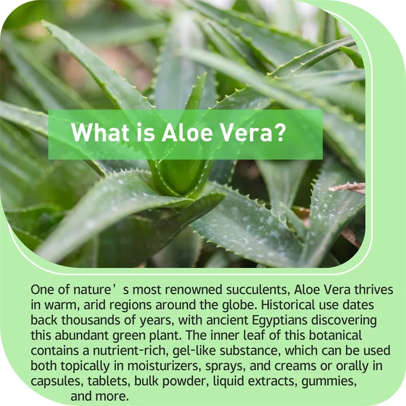 Aloe Vera - Support Gut Health & Digestive Comfort, Stomach Acid Buffer, Natural Immune Supplement