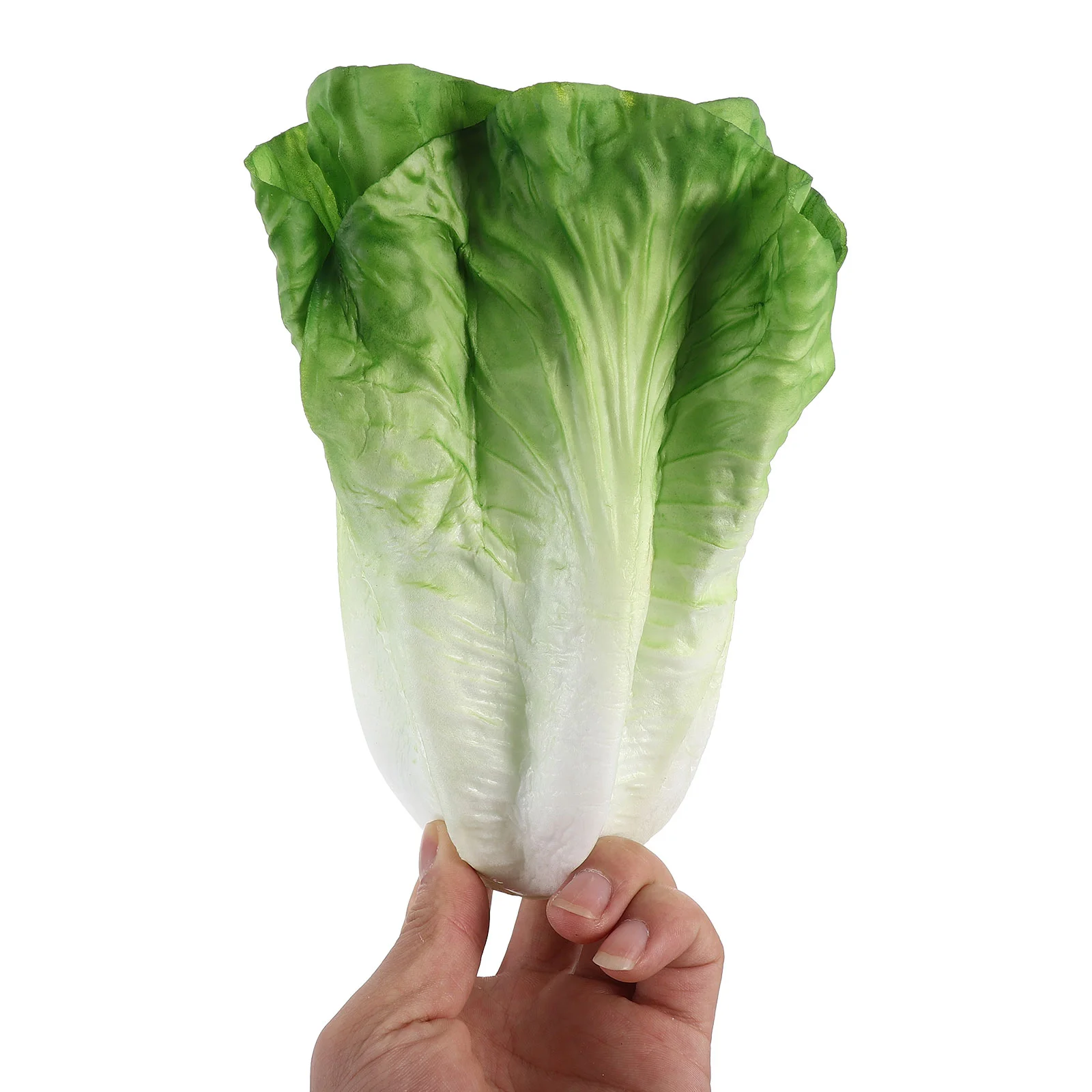 Cookie Jar Miniature Simulated Lettuce Model Child Vegetables Chicken Pvc Realistic Prop Fake