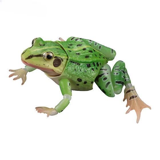 BANDA Biological Encyclopedia Figures Model Black spotted side folded frog frog Simulated animals Gashapon Original toys