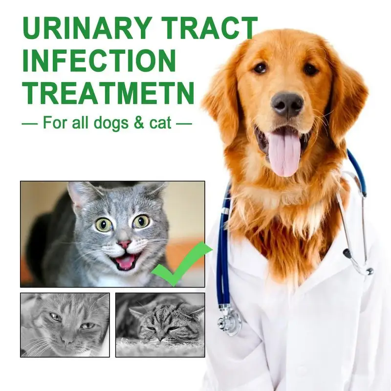 Pet UTI Treatments 60ml Powerful Cat Bladder Drops For Urinary Tract Care Multifunction Cranberry Dog Cat UTI Treatments Supply