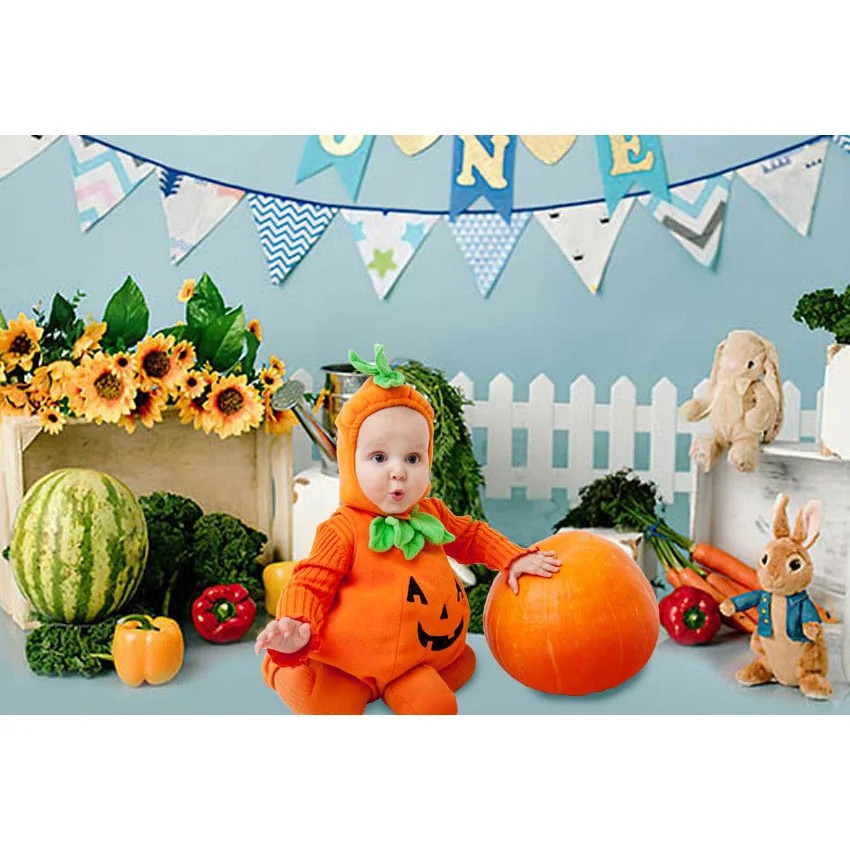 Mehoford Easter Portrait Photography Background Bunny Rabbit Carrot Backdrop Newborn Baby 1st Birthday Photo Studio Photozone