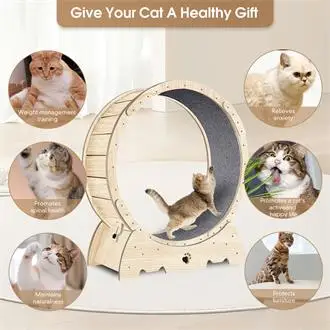 for indoor Cat Exercise Wheel - 37 Natural Wood Treadmill with Carpeted Runway for Fitness & Weight Loss