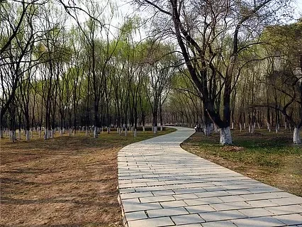 MN82T RC voiture 1/12 4WD Simulation professionnel escalade véhicule de sauvetage 2.4G électrique télécommande grue voiture jouet cadeau LC79