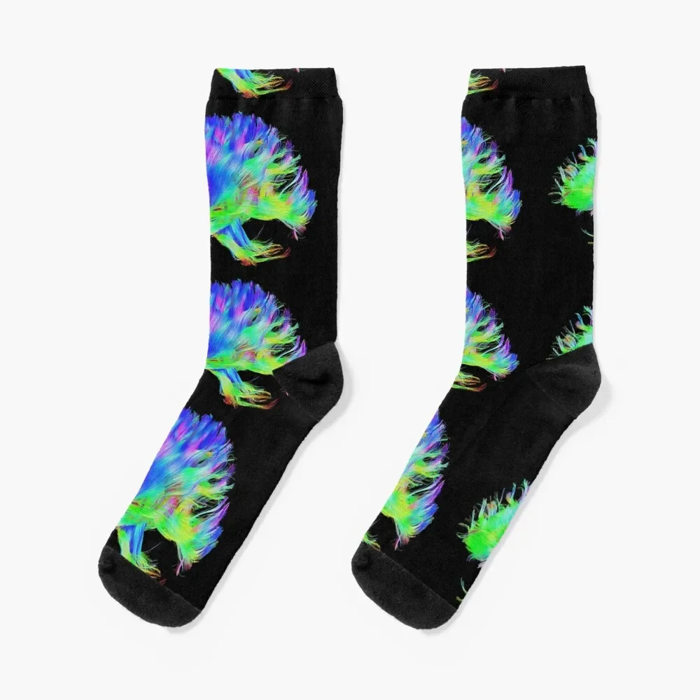 

Fiber Tracts Of The Brain, Dti, Medical Imaging Scan Socks floral Stockings compression Socks Man Women's