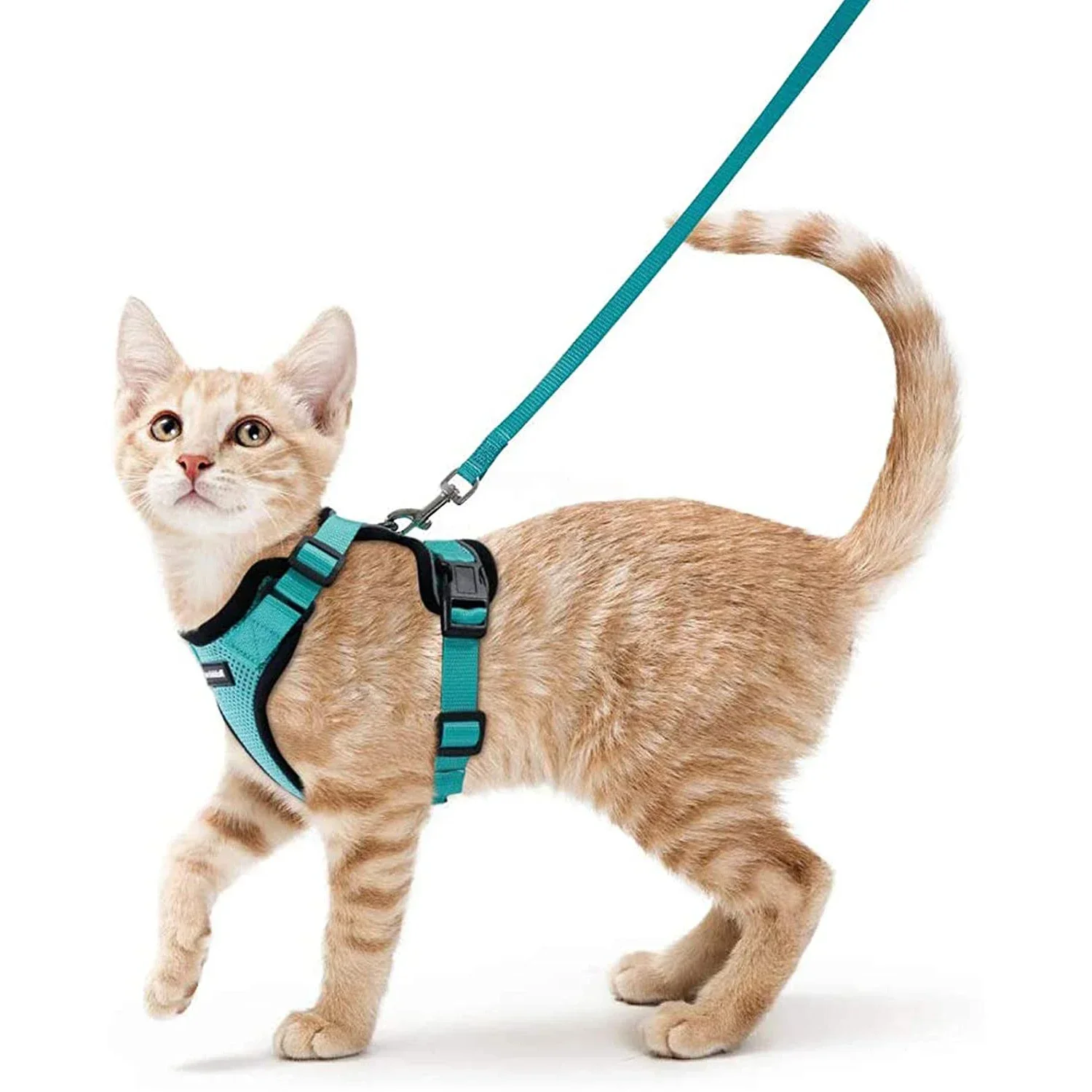 

Mesh Small Cat Harness And Leash Set Adjustable Vest Antiescape Proof Pet Kitten Easy Control Reflective Puppy Dogs Harness