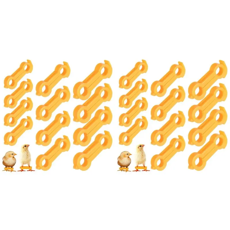 【Artículos calientes】 24 Uds. Tirantes para piernas de pollito de bebé, huecos para piernas de pollito de bebé, bandas para piernas de aves de corral, tirantes para aficionados de pollo