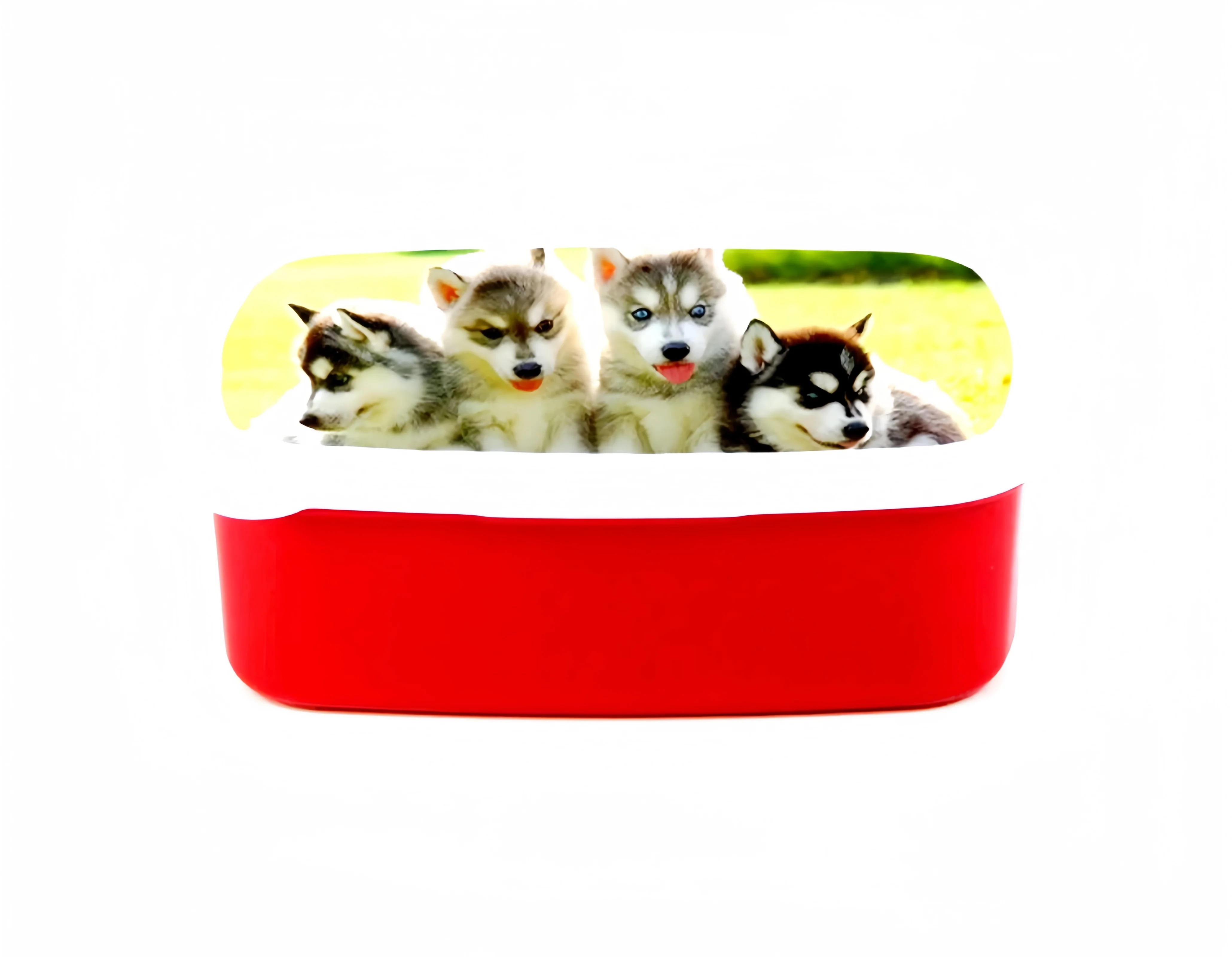 Portable Sublimation Blanks Lunch Box Rectangle  Shape Food Container Kids Adults Children Students Office Worker