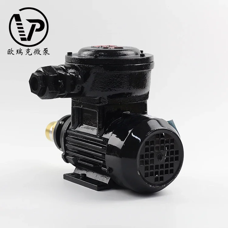 工場価格 AC 380V 高圧ギアポンプ 食品グレード 電磁駆動 ミニギアウォーターポンプ