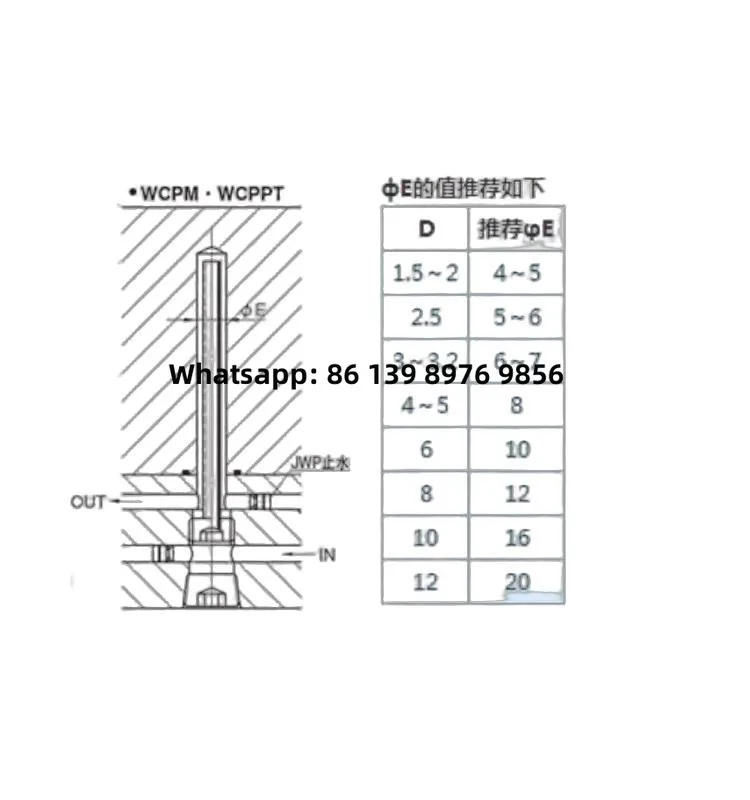 Mold Water Injection Needle Wcpfm2/3/4 Wcppt2/3/4 Stainless Steel Water Injection Pipe Straight Cone Threaded Nozzle