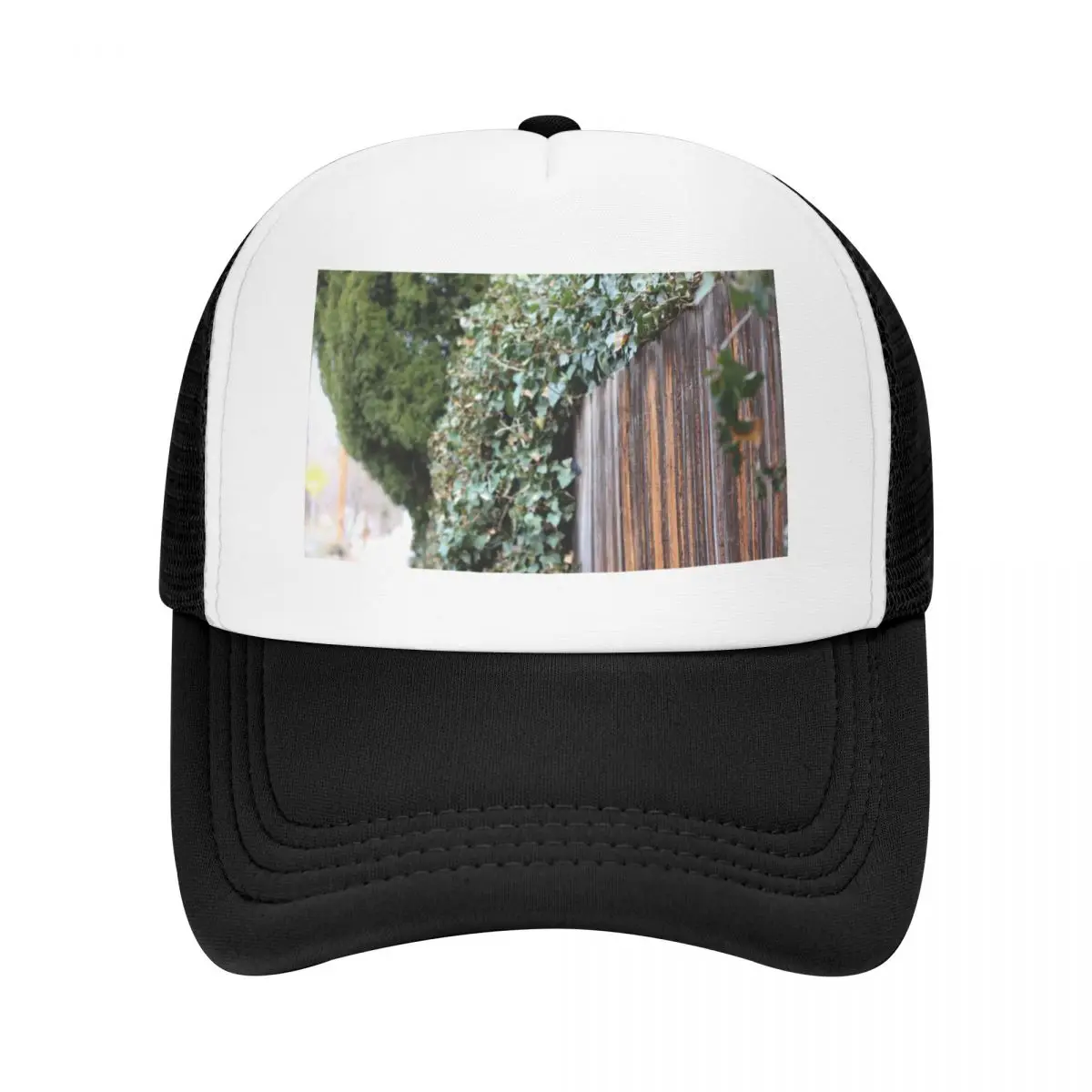 Back Alley Fence Baseball Cap Vintage Custom Cap Golf Wear Women Men's