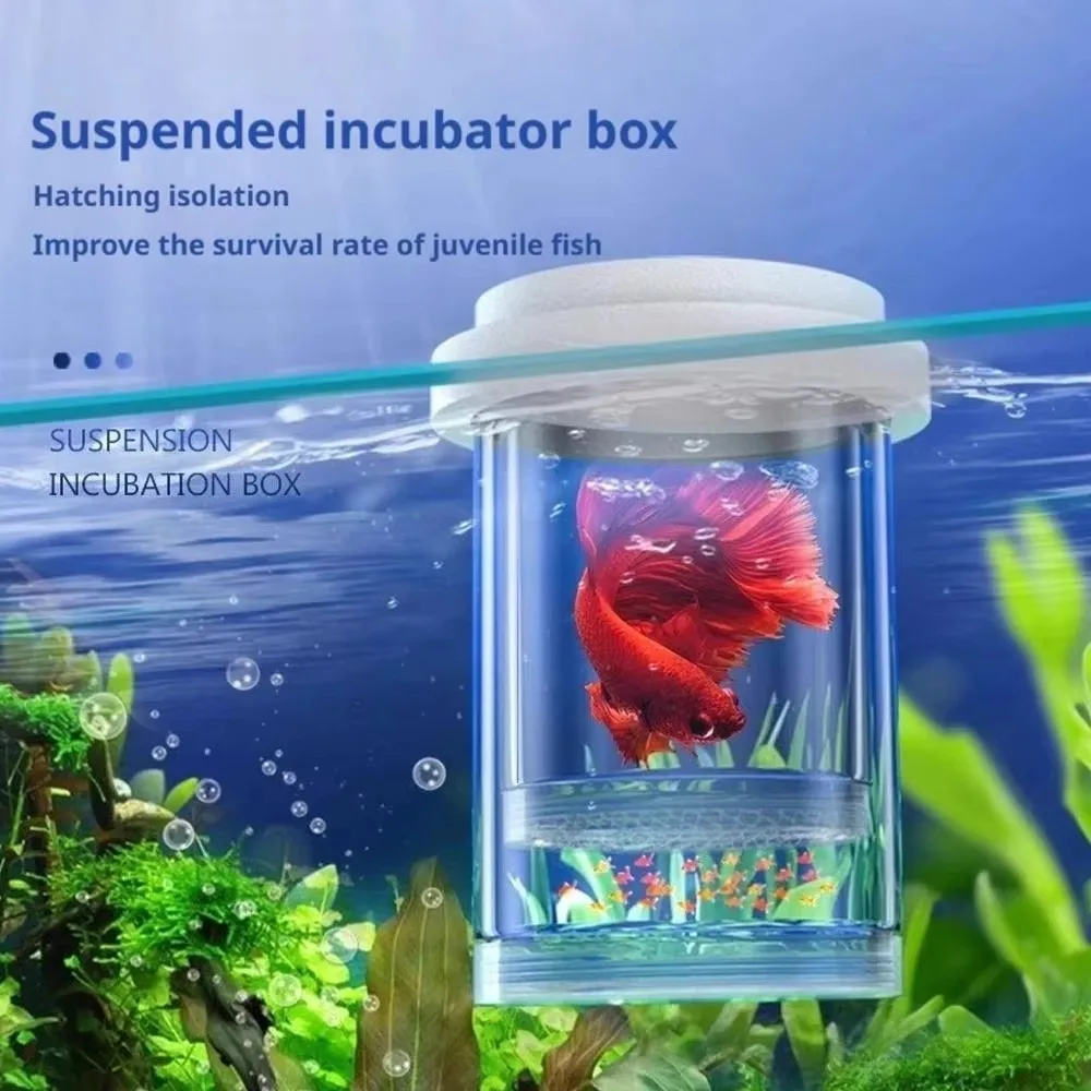 High Quality Plastic Mesh Floating Hatching Box Shrimp Guppy Transparent Aquarium Breeder Box Detachable Isolation Function