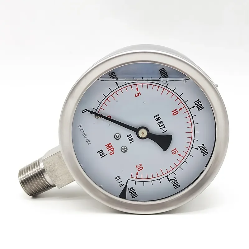 OEM Pointer Type Pressure Gauge Series Precision Pressure Gauge Y-60