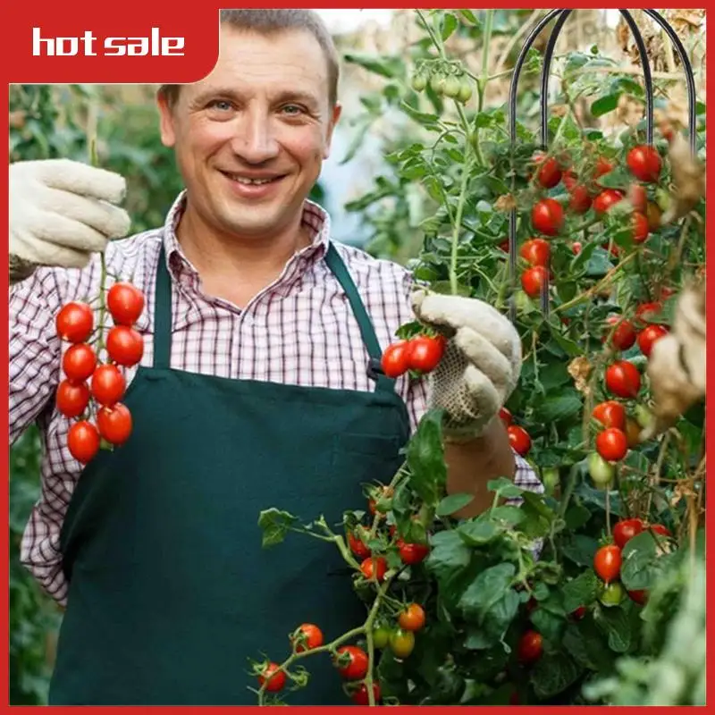 

A21R-Climbing Plant Obelisk Trellis, Garden Trellis, Climbing Vine Plant Stand, Flower Stand, Plant Tower,2Pcs