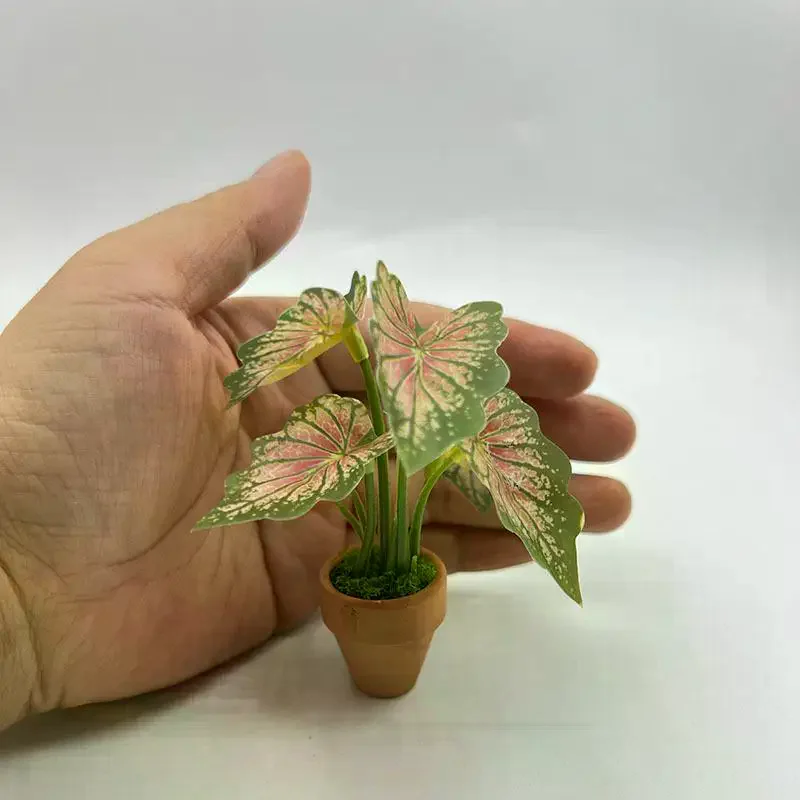 1Pcs Miniature Scandinavian Style Decoration Dollhouse Green Plants Mini Taro Turtle Back Green Potted Plants Props Model