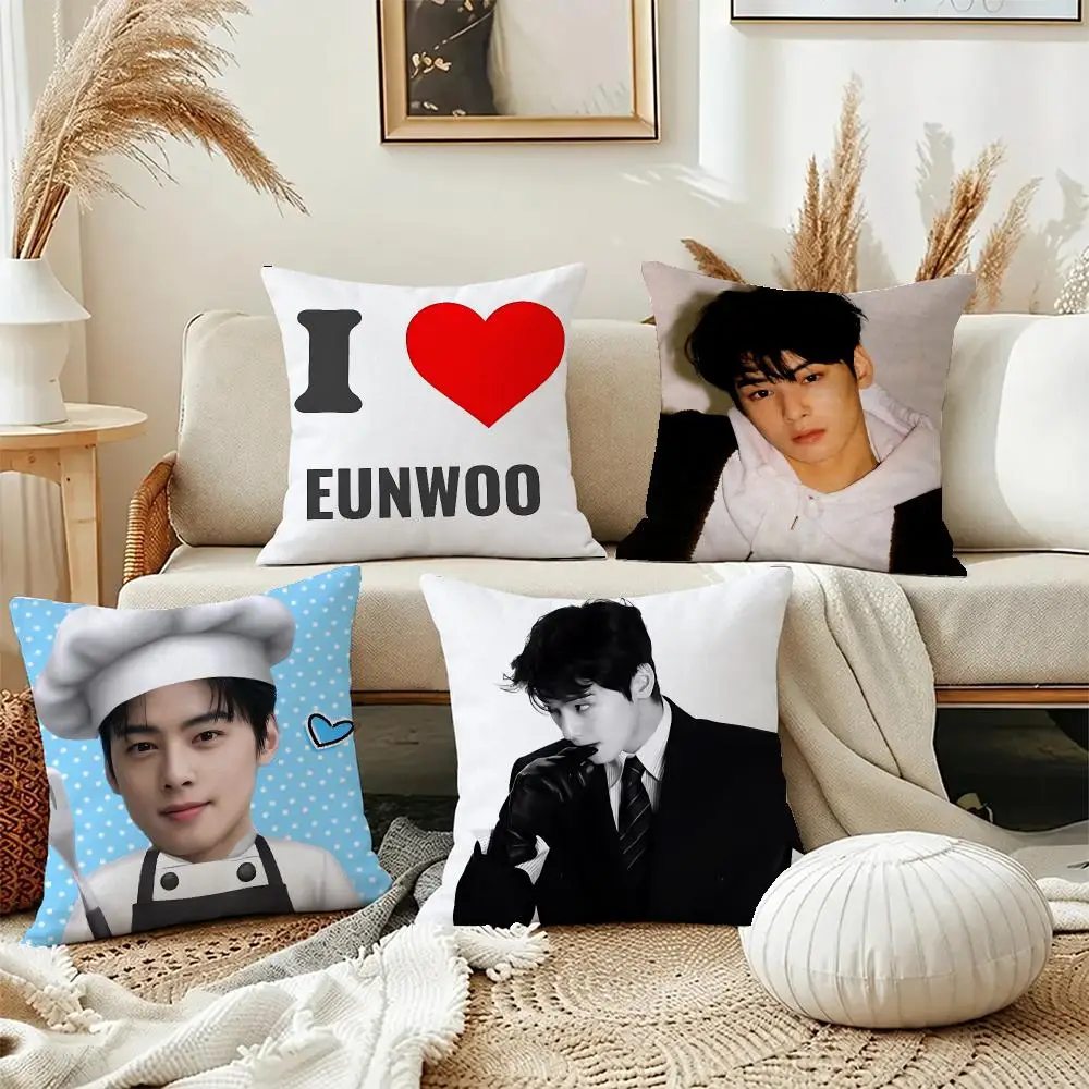 Hot Actor Cha Eun-woo Cushion Cover Short Plush Pillowcase, Washable Wrinkle Resistant Cover for Bedroom Gift