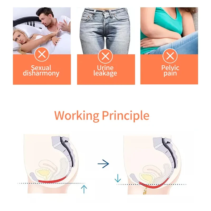 Non-invasive EMS Pelvic Floor Muscle Repair Instrument Urinary Incontinence Treatment Postpartum Recovery Pelvic Chair Ems Chair