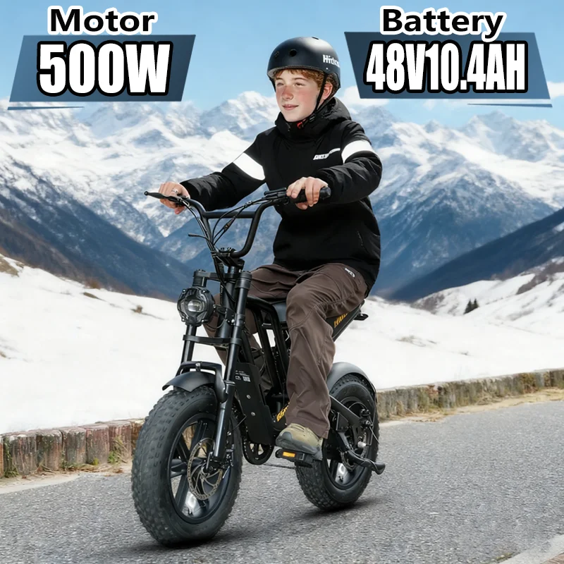 Electric Bike Hidoes B6Mini 500W High Speed Motor 48V10.4AH Battery  Electric Bicycle 16 Inch Off-road Air Fat Tire Adult E-bike