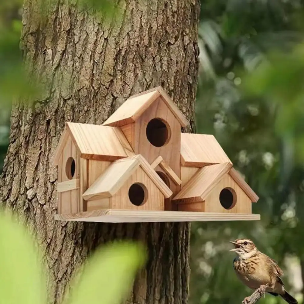 Thumbnail 2 - #80 Compare Birdhouses Before You Buy