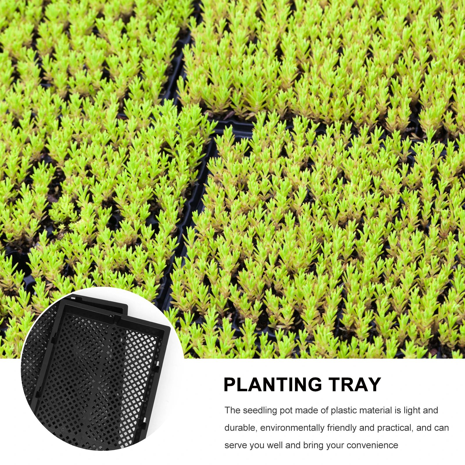 

5pcs Nursery Tray Thickened Plastic Planting Tray Hydroponic Sprouter For Vegetables Durable Germination Pot