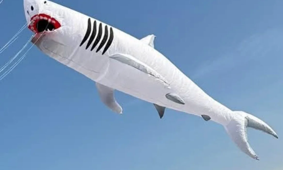 

HFLY 12m Gray White LED Shark Kite Line Laundry for Adults