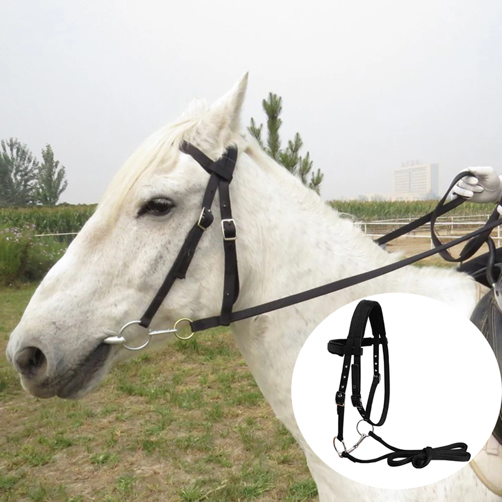 Horse Rein Harness Headstalls Removable Snaffle 20 Mm PP Webbing Equestrian Gear for Outdoor Riding Training LT5000 Dropship