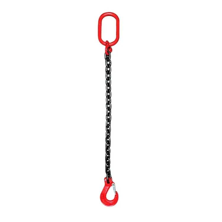 

Single Chain 3t1m Hardware Rigging Two Legs Alloy Steel Chain Sling for Lifting Chain Rigging