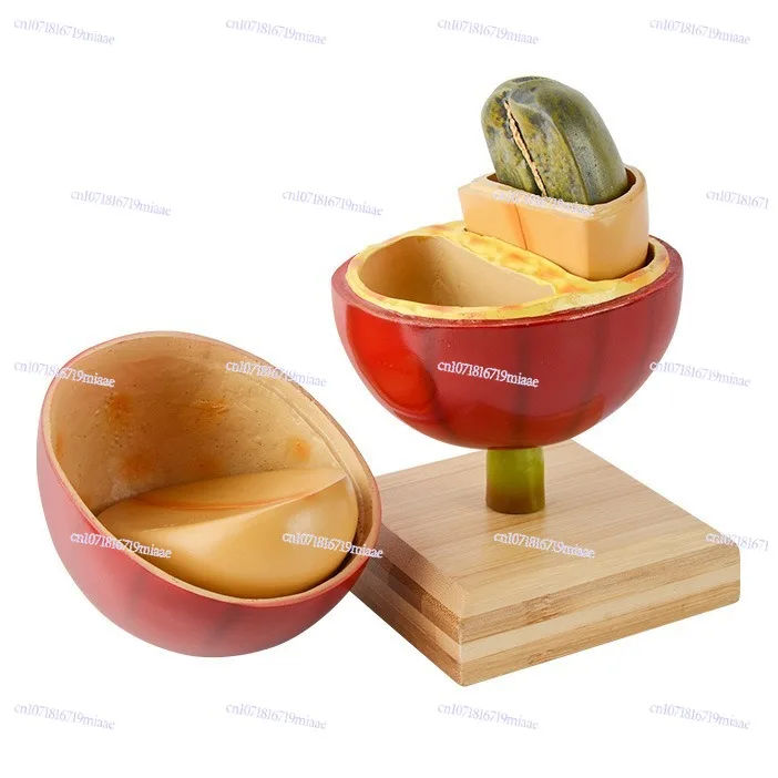 

Coffee Ornament Teaching Appliances Roaster Cafe Display Coffee Bean Simulation Model Gift