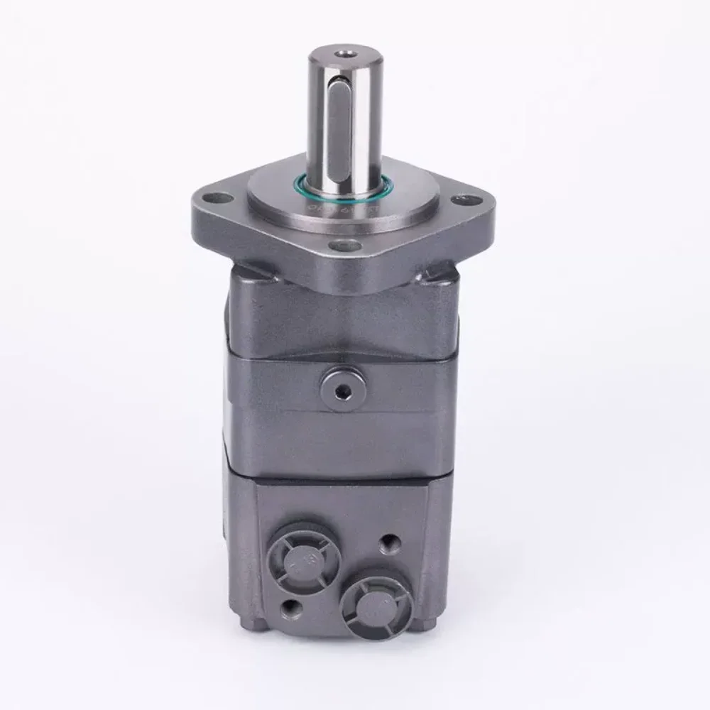 BMS/OMS-250 315 400 hydraulic motor 200 oil motor injection molding machine melt glue motor mold adjustment mixer truck