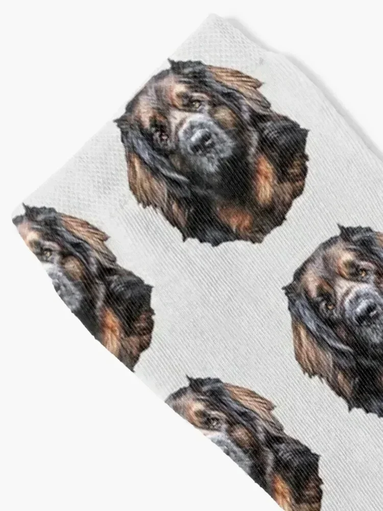 Leonberger - A stunning Dog! Socks sports and leisure hiking designer brand Christmas Socks Women Men's