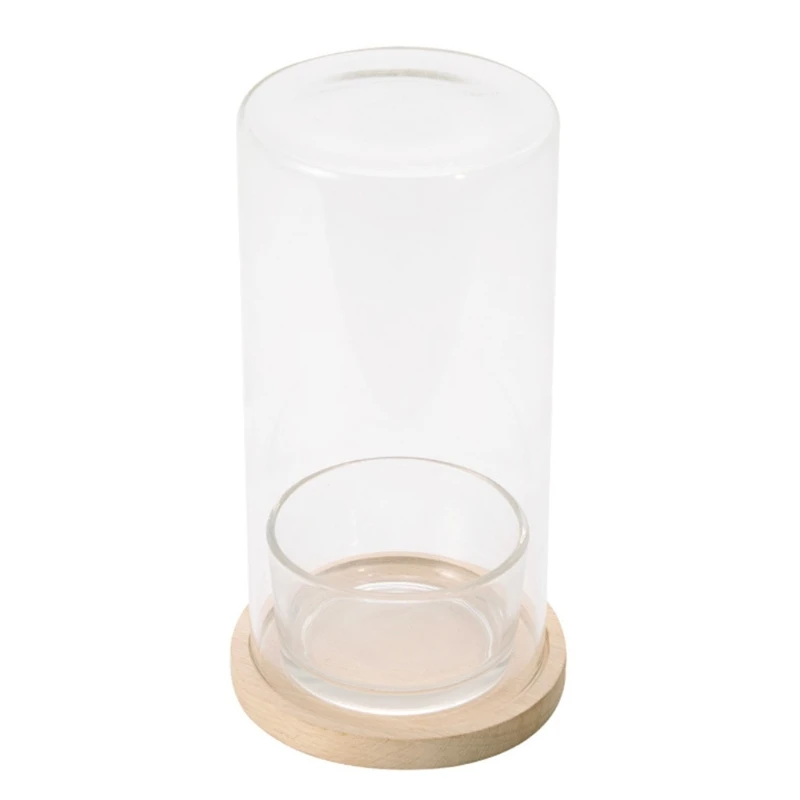 2025 New Low Maintenance Hydroponic Glass Bottle With Base Plant Glass Bottle Pots For Office Professional And Students