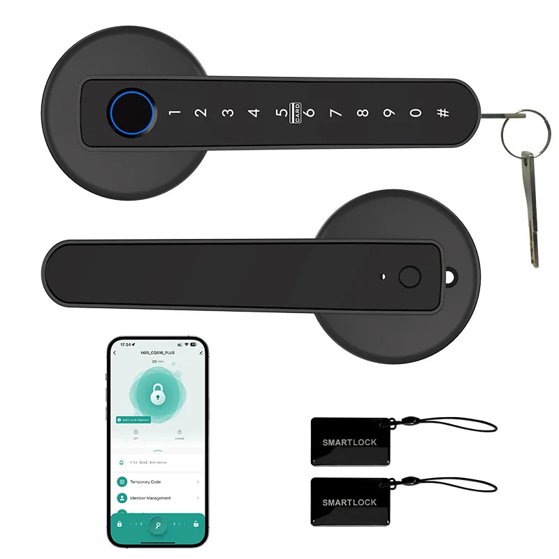 Smart Door Lock Fingerprint Password Remote Unlocking Rental Room Apartment Bedroom Wooden Door Electronic Lock