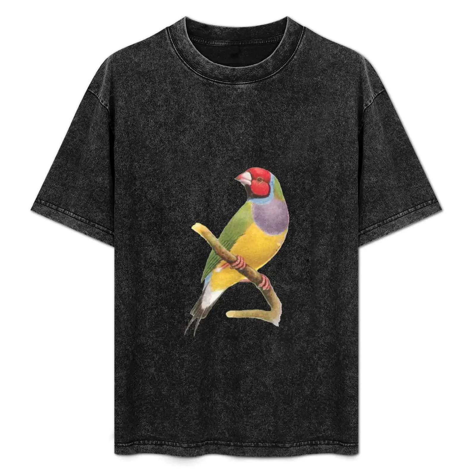 Vintage Gouldian Finch T-Shirt oversizeds basketball graphic tees mens designer clothes