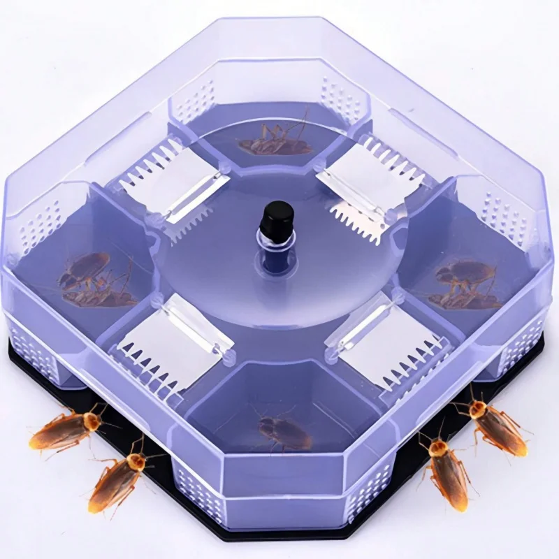 Piège à cafards 1 pièce/sans appât ; outil de capture d'insectes; boîte à cafards; piège à cafards p