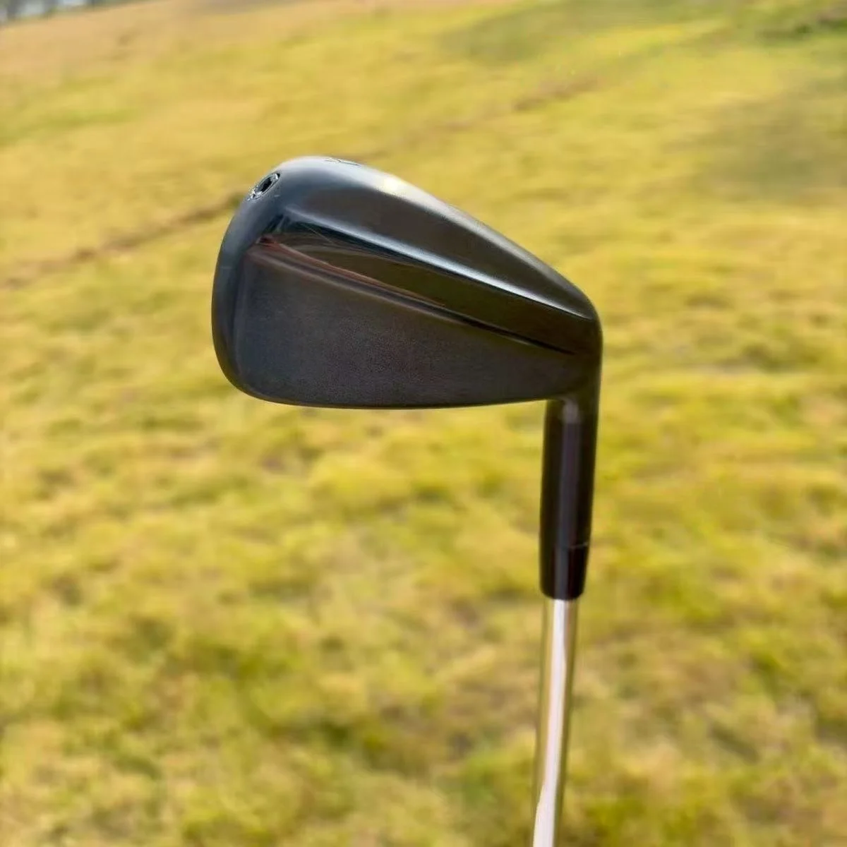 

Premium Black 770 Golf Irons Tour Grade Steel Shaft