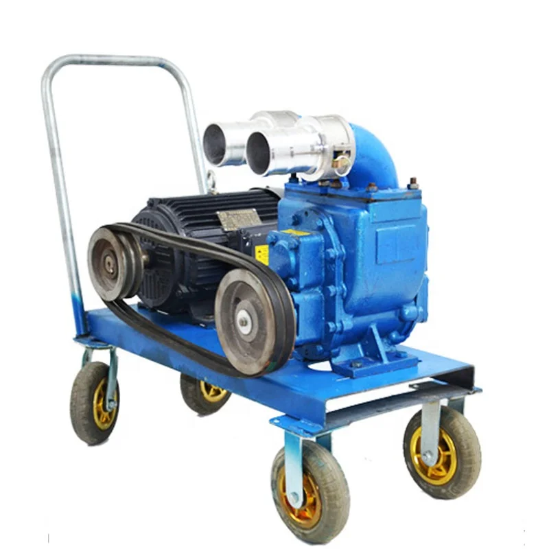 Pompa per acque luride di tipo orizzontale Pompa di aspirazione per fango per liquami con girante per smerigliatrice per pompa automatica a ventosa per fango per acqua sporca