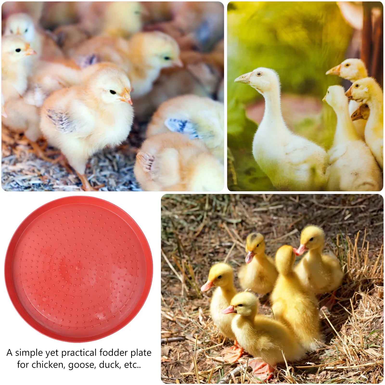 

3pcs Chicken Feeding Tray Fodder Plate Durable Thickened Anti-Slip Plastic Round Plate For Chick Duck Quail Pigeon Goose