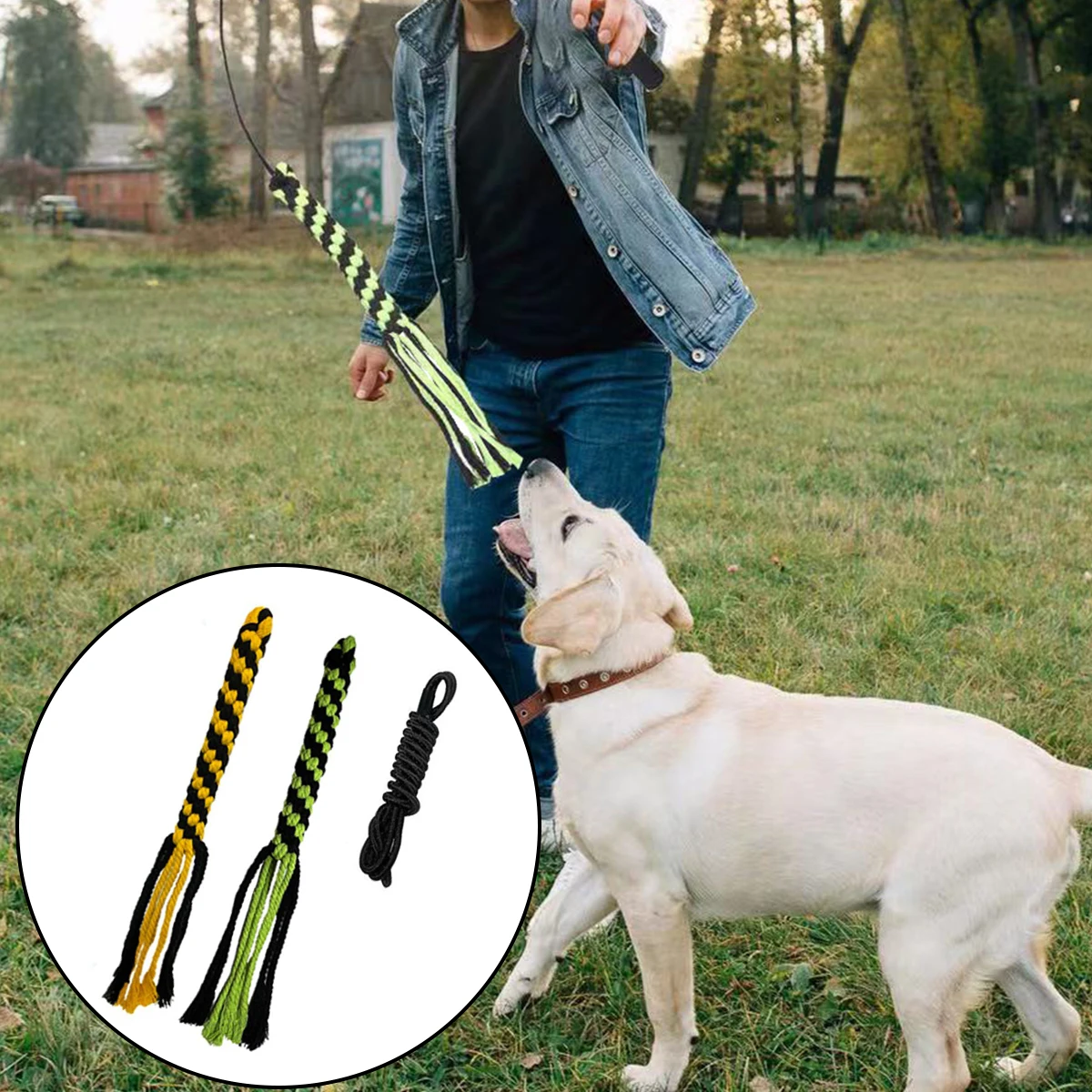 

1Pcs New Extendable Pole Interactive Dog Toys for Small Large Dogs Chase Drag Chew Toys Outdoor Training Exercise Entertainment
