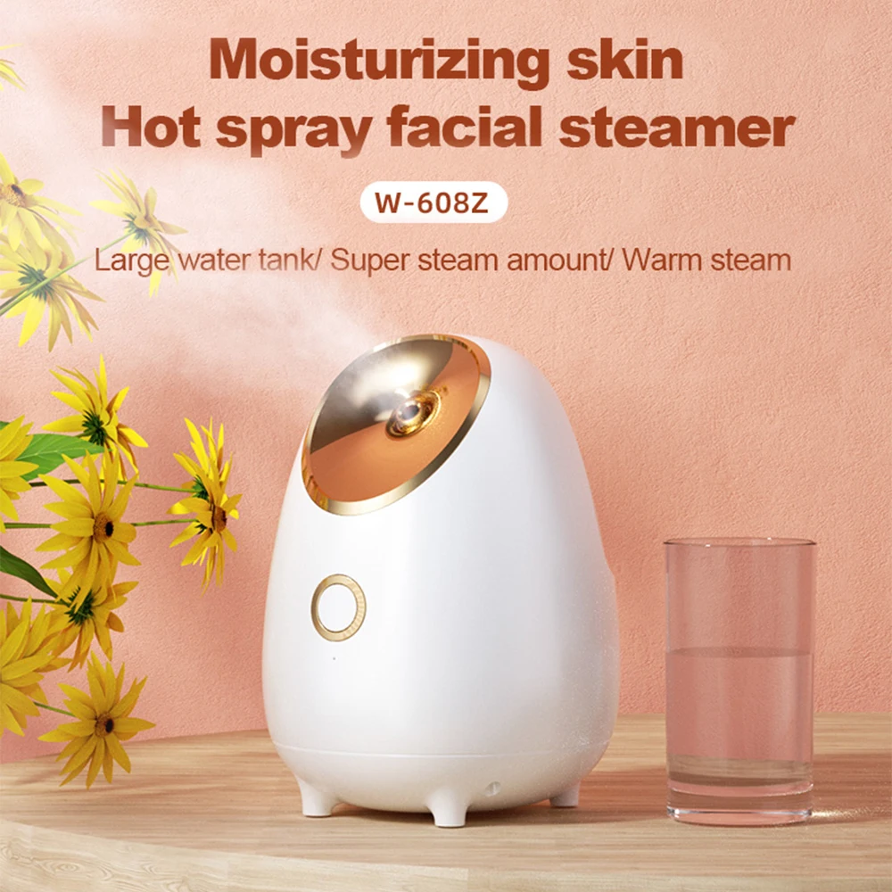 100ml Facial Steamer Mini Portable Nano Face Steamer Home Use Skin Moisture Spa Beauty Tool