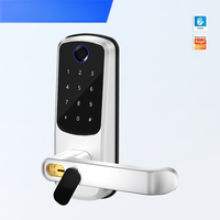 Single Tongue Fingerprint Graffiti Password Lock Bedroom Door Home Office Apartment Smart Electronic Lock