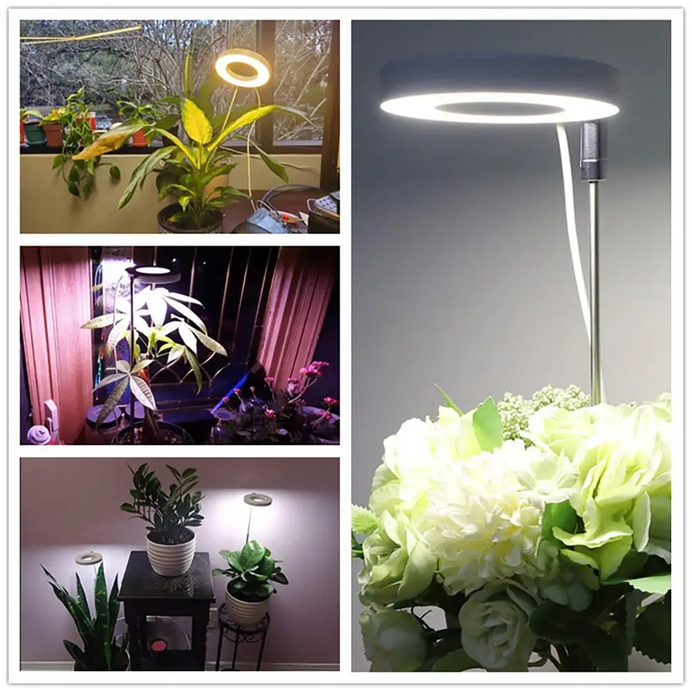 Luce per piante a risparmio energetico Luci progressive a spettro completo efficienti per piante bonsai a fiori Ampia gamma di illuminazione Colore USB verso l'alto