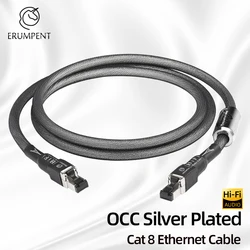 ERUMPENT Cat8 Ethernet Patch Cable OCC Silver Plated Cat8 rj45 Network Cable 40Gbps 2000MHz Audio HiFi Laptop Internet LAN Cable