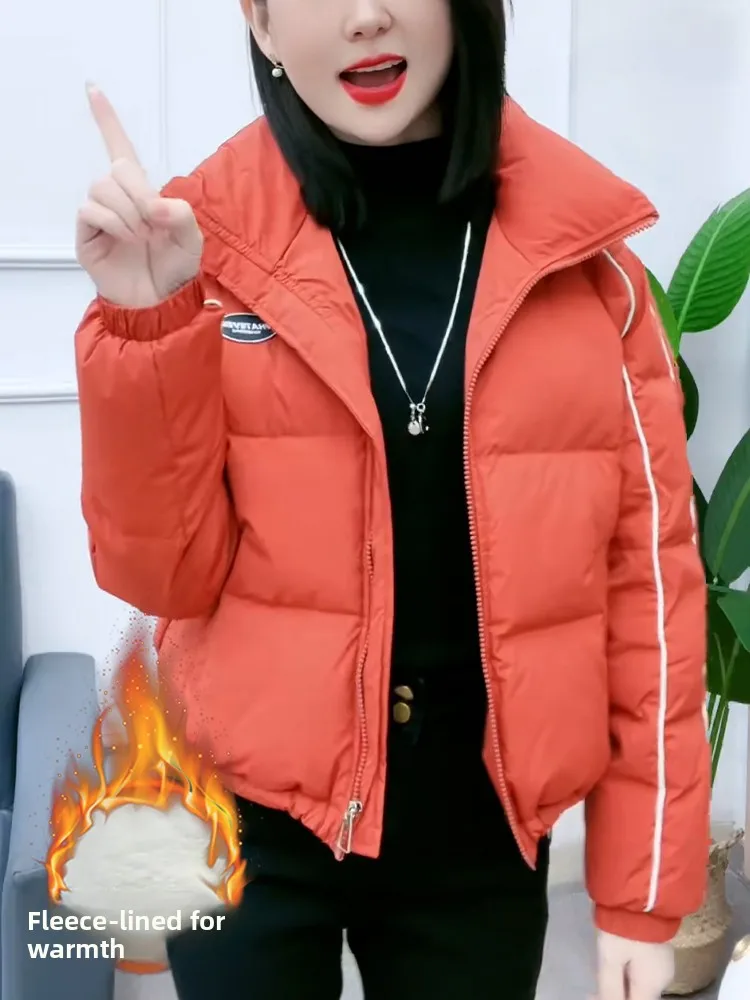 여성용 테이니드 페이스 라이닝 다운 코튼 재킷 겨울용 따뜻한 아우터웨어 스탠드 칼라 지퍼 클로저 롱 슬리브 한국 스타일