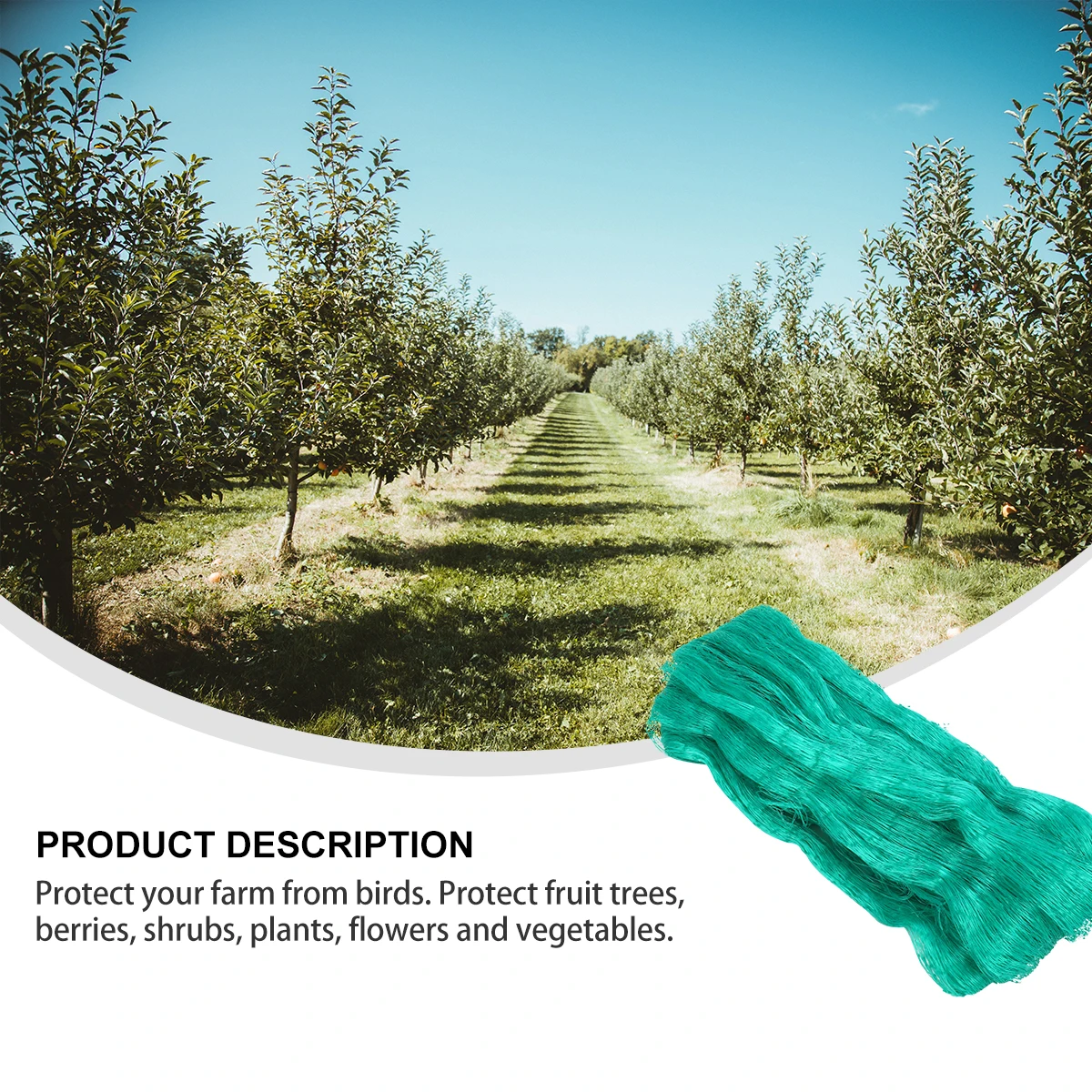 

Bird Netting For Garden Large Mesh Durable Uv Resistant Garden Plant Protection Net Farm Orchard Vineyard Vegetable Netting