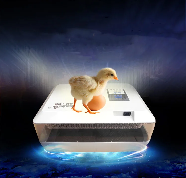 

NEW 1pc Mini Egg Incubator For 60 Chicken Eggs, 40 Duck Eggs, 90 Quail Eggs