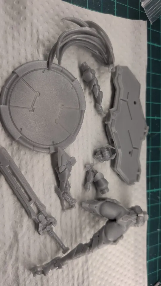 Buyer photo of this resin kit