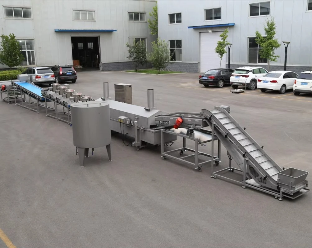 Electric Continuous Fryer Production Line for Chicken Nuggets Industrial High Speed for Food Processing Custom